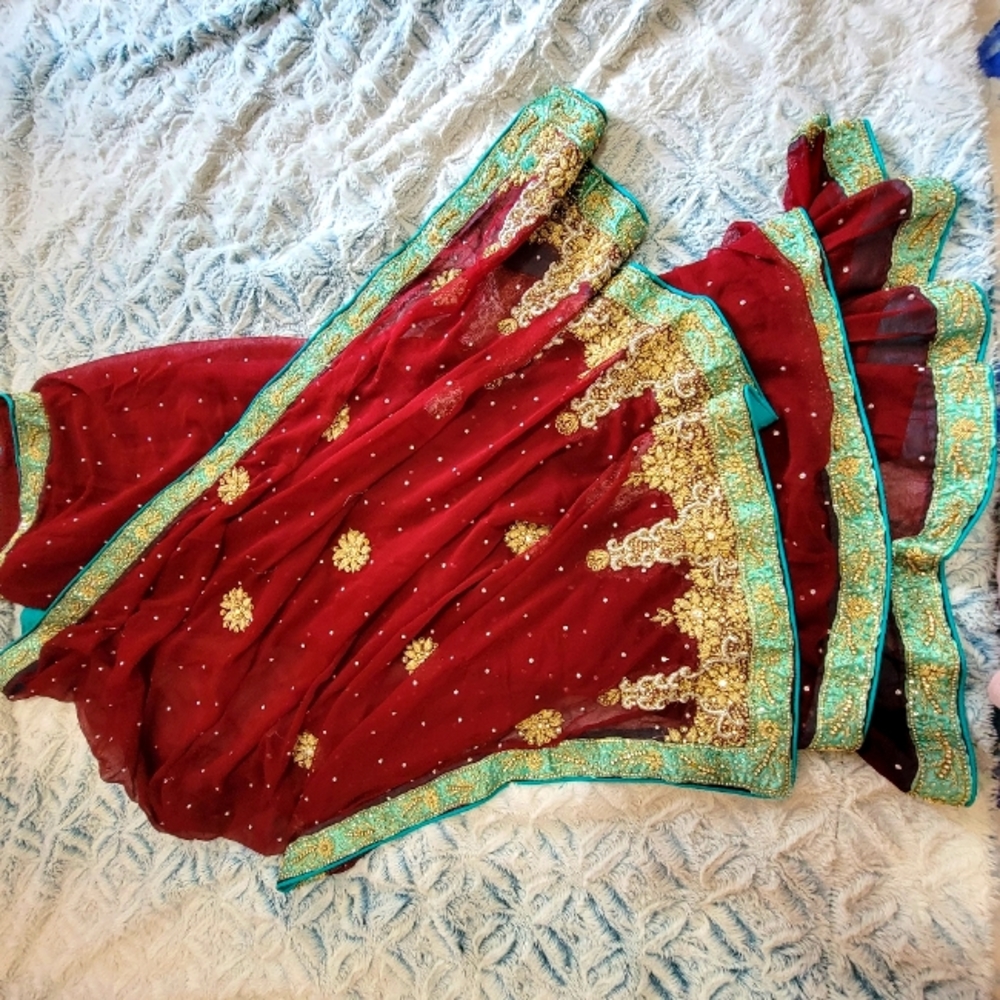 Pakistani Sari